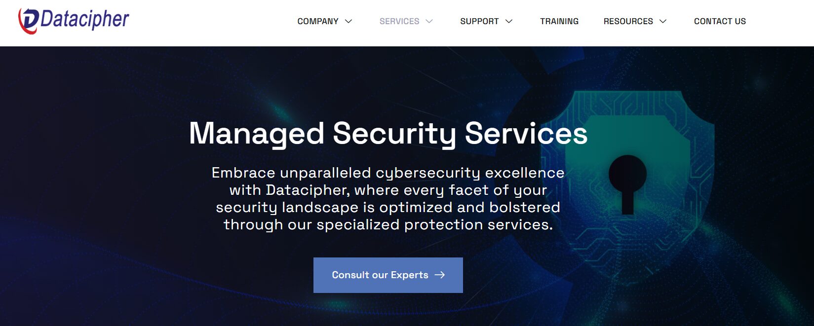 Top Managed Security Service Providers in India for Enterprises